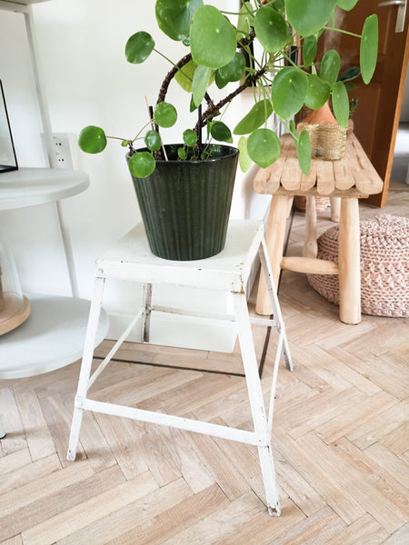 Brocante Plantentafel