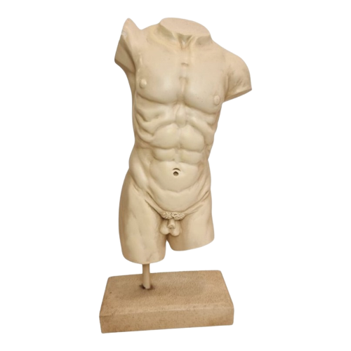 Mannelijke Torso