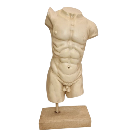 Mannelijke Torso