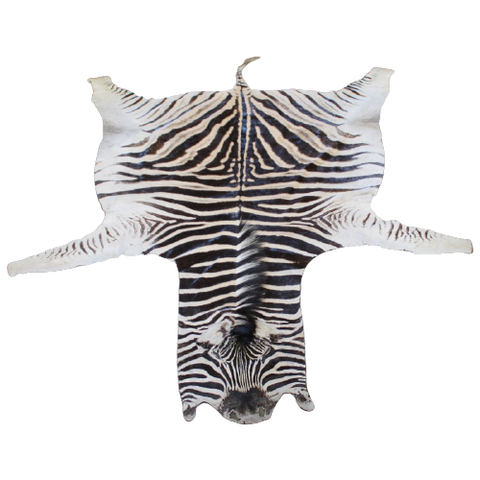 Zebravacht